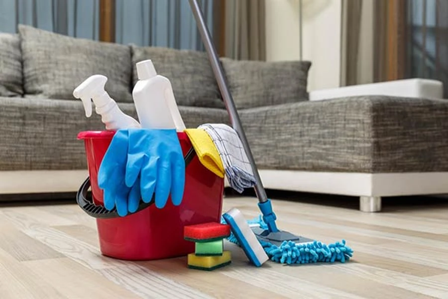 Home Cleaner in Sterling, VA