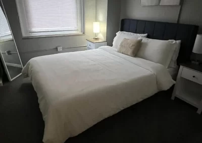 Professional Cleaning Services