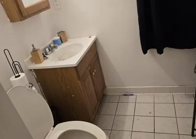 Professional House Cleaning