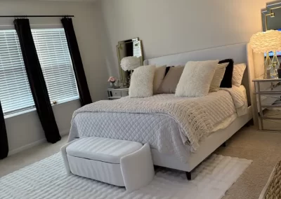 Exceptional Home Cleaner